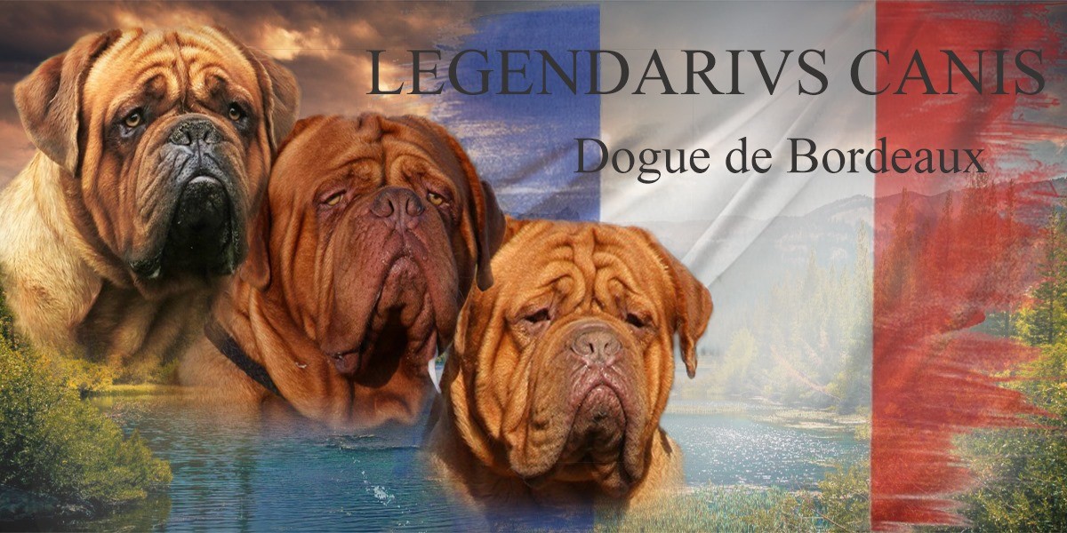 Legendarivs Canis